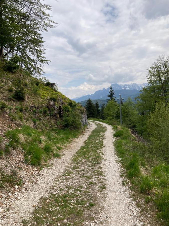 Adriatico Rooms Tarvisio Luaran gambar